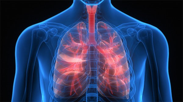 Curso de Reiki - Espaço Luz e Vida