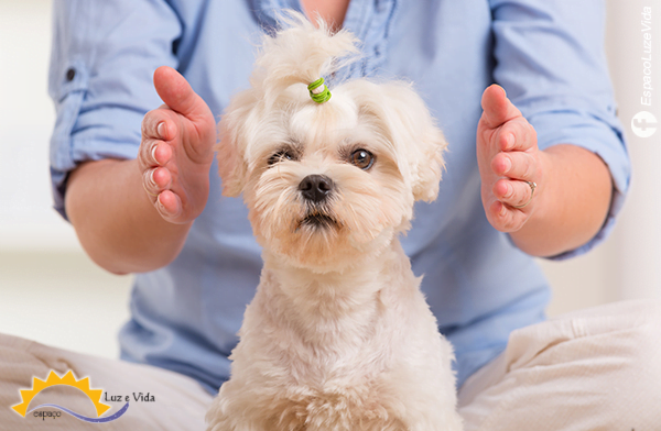 Curso de Reiki - Espaço Luz e Vida