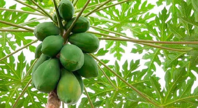 Curso de Reiki - Espaço Luz e Vida